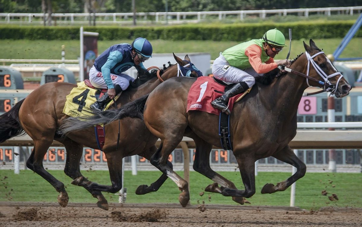 The Jockey Club has announced Nevin Truesdale is to step down as its group chief executive, with his departure expected by the end of the year.