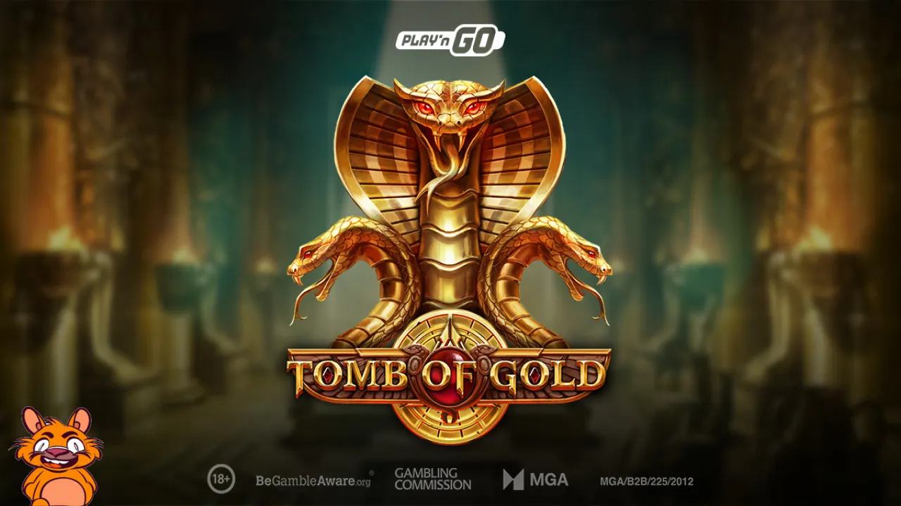 .@ThePlayngo digs deep for the treasures of ancient kings Play’n GO has released its latest brand new game, Tomb of Gold. #PlaynGO #NewGame #TombOfGold focusgn.com/playn-go-digs-…