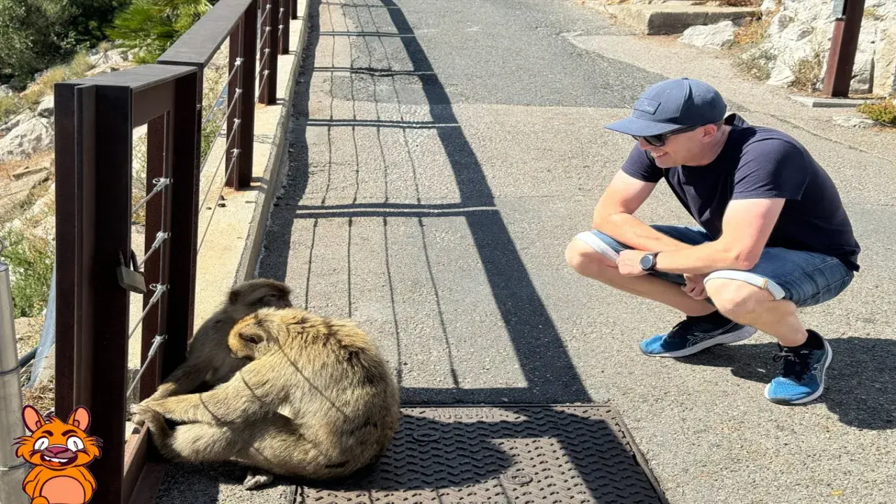 ❤ RELAX LOVES GIBRALTAR 🐬 🤩It was such as an amazing week for part of our marketing team visiting Gibraltar, so we couldn’t resist sharing a few more photos. 📸 🏆 With cheeky monkeys, St. Michael's Cave and spectacular…