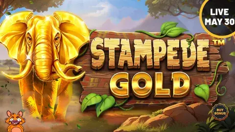 🎉 Just 3 days until Stampede Gold™️ launches! 🐘🌟 Dive into the African savanna with amazing mechanics and features: Golden Elephant upgrades Multiplier Wilds Free Spins Mode 🔜 loom.ly/YkjQevQ 🔞 BeGambleAware.org …