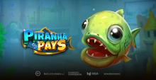 .@ThePlayngo take a deep dive into uncharted waters in Piranha Pays In terms of gameplay, Piranha Pays offers some exciting features that intertwine with the title’s overarching narrative. #PlaynGO #PiranhaPays …