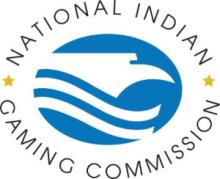 Indian Gaming Association Chairman Ernie Stevens, Jr., is urging the Biden administration to appoint a new chairman for the National Indian Gaming Commission. The vacancy has existed since February. ggbnews.com/article…