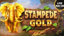 🎉 Just 3 days until Stampede Gold™️ launches! 🐘🌟 Dive into the African savanna with amazing mechanics and features: Golden Elephant upgrades Multiplier Wilds Free Spins Mode 🔜 loom.ly/YkjQevQ 🔞 BeGambleAware.org …