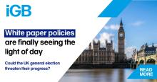 🗳️ Election drama meets gambling reform! Will the UK's snap general election shake up the long-awaited Gambling Act policies? Dive into the debate as industry experts weigh in on the potential impact and what…