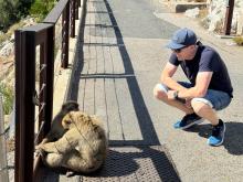 ❤ RELAX LOVES GIBRALTAR 🐬 🤩It was such as an amazing week for part of our marketing team visiting Gibraltar, so we couldn’t resist sharing a few more photos. 📸 🏆 With cheeky monkeys, St. Michael's Cave and spectacular…